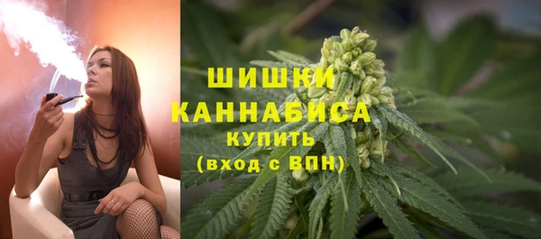 Альфа ПВП Медногорск