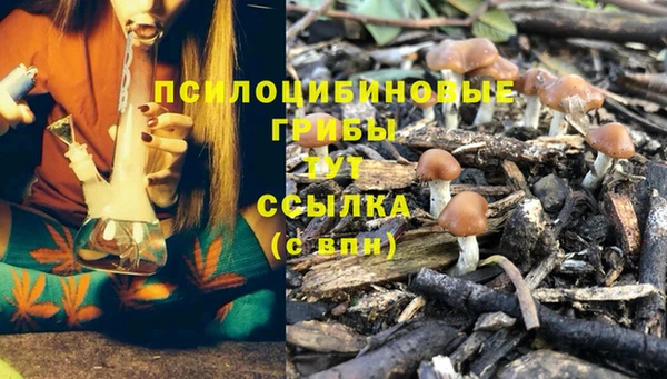 кокс Абдулино