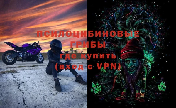 трава Абаза