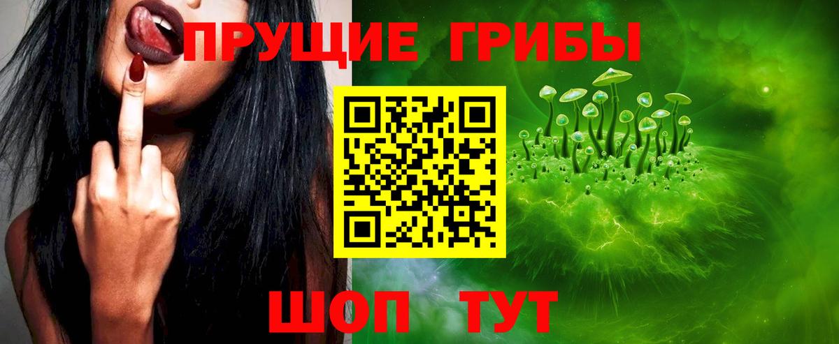 Галлюциногенные грибы Psilocybe Нижнекамск